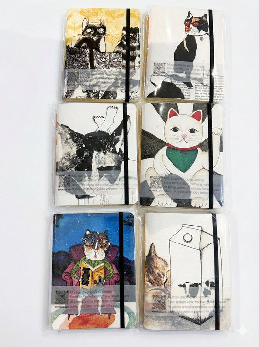 portadas unicas artista emergente gato gatito coleccionista
